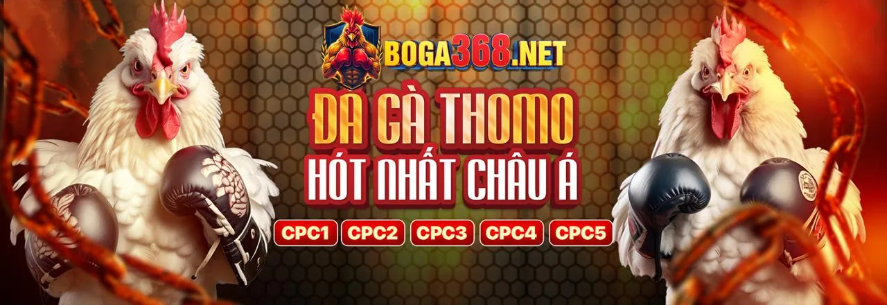 Đá Gà Trực Tuyến vuabai9 đăng nhập 2026